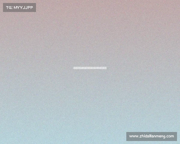 多特蒙德为法比奥席尔瓦提供五年合同开启新篇章