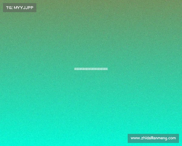 多特蒙德为法比奥席尔瓦提供五年合同开启新篇章